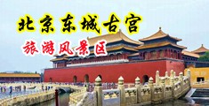 吊逼视频免费下载中国北京-东城古宫旅游风景区